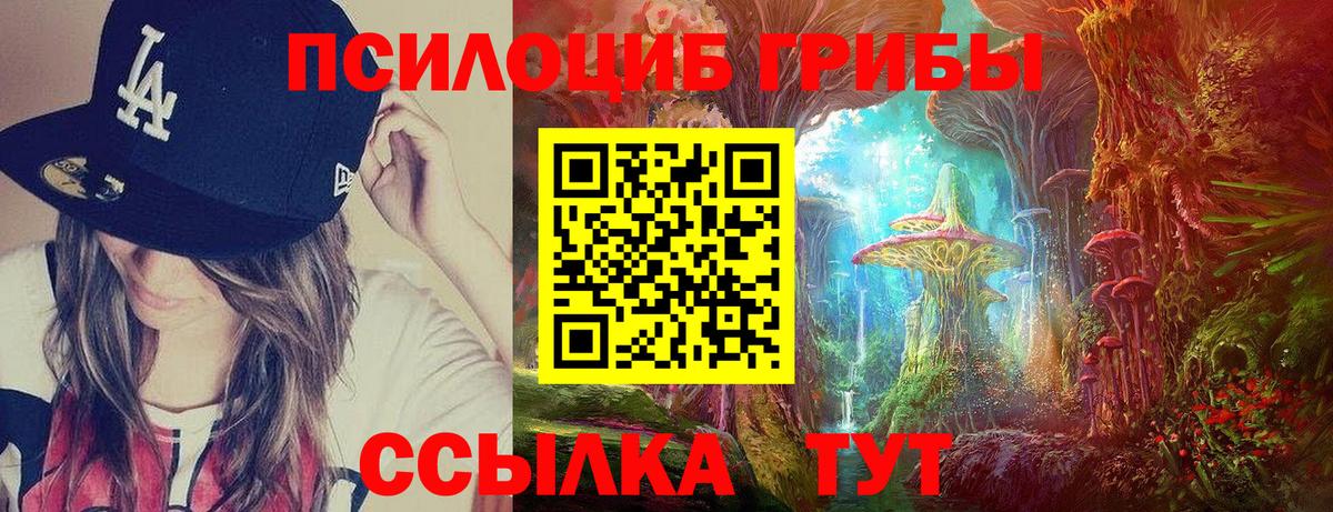 купить наркотики цена  Вход с VPN  Унеча  Псилоцибиновые грибы GOLDEN TEACHER 