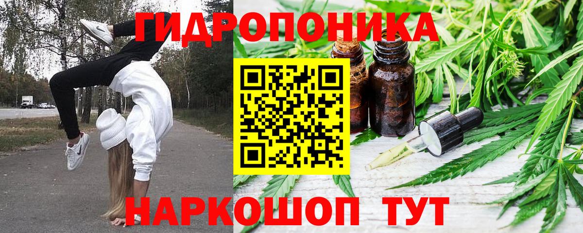 МАРИХУАНА AK-47  Шишки марихуана индика  Вход с VPN  Унеча  Бошки Шишки White Widow  МАРИХУАНА планчик 